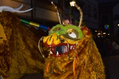carnival-miguelturra-carrozas-2016