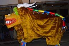 carnival-miguelturra-carrozas-2016