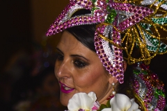 carnival-miguelturra-carrozas-2016