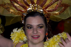 carnival-miguelturra-carrozas-2016