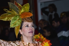 carnival-miguelturra-carrozas-2016