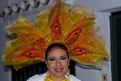 carnival-miguelturra-carrozas-2016