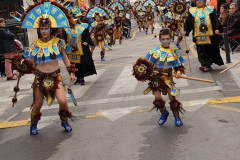 carnaval-miguelturra-carrozas-2017