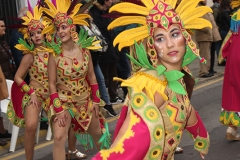 carnival-miguelturra-carrozas-2017