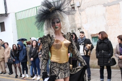 carnival-miguelturra-carrozas-2017