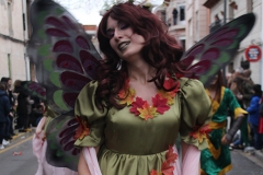 carnival-miguelturra-carrozas-2017
