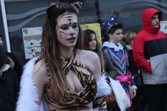 carnival-miguelturra-carrozas-2017