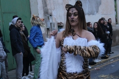 carnival-miguelturra-carrozas-2017