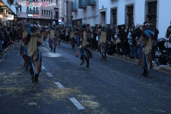 carnival-miguelturra-carrozas-2017
