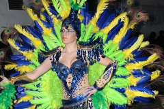 carnival-miguelturra-carrozas-2017