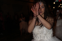carnival-miguelturra-carrozas-2017