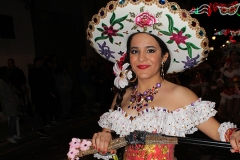 carnival-miguelturra-carrozas-2017