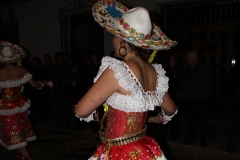 carnival-miguelturra-carrozas-2017