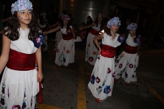 carnival-miguelturra-carrozas-2017