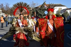 carnaval-miguelturra-carrozas-2018