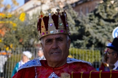 carnaval-miguelturra-carrozas-2018