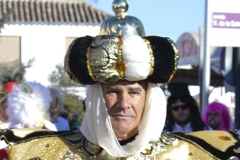 carnaval-miguelturra-carrozas-2018