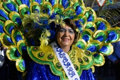 carnaval-miguelturra-carrozas-2018