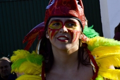 carnival-miguelturra-floats-2018