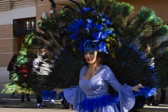 carnival-miguelturra-floats-2018