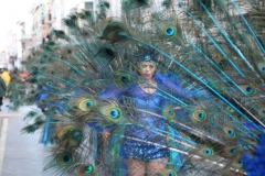 carnival-miguelturra-floats-2018