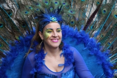 carnival-miguelturra-floats-2018