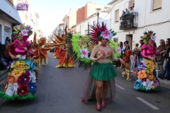 carnival-miguelturra-parade-2019