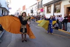 carnaval-miguelturra-desfile-2019