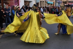 carnaval-miguelturra-desfile-2019