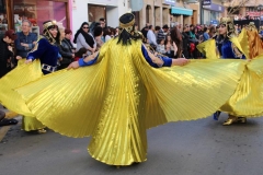 carnaval-miguelturra-desfile-2019