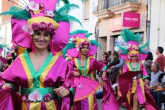 carnaval-miguelturra-desfile-2019