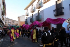 carnaval-miguelturra-desfile-2019