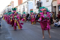 carnaval-miguelturra-desfile-2019