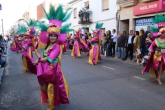 carnaval-miguelturra-desfile-2019