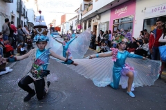 carnaval-miguelturra-desfile-2019