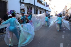 carnaval-miguelturra-desfile-2019