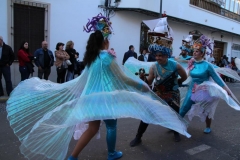 carnaval-miguelturra-desfile-2019