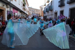 carnaval-miguelturra-desfile-2019