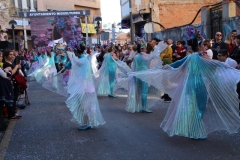 carnaval-miguelturra-desfile-2019