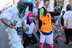 carnival-miguelturra-parade-2019