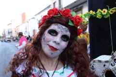 carnival-miguelturra-parade-2019