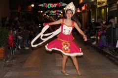 carnaval-miguelturra-desfile-2019