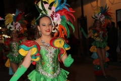 carnival-miguelturra-parade-2019