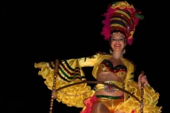 carnival-miguelturra-parade-2019