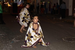 carnival-miguelturra-parade-2019