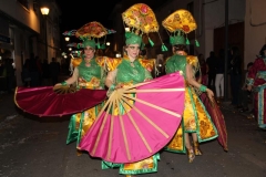 carnaval-miguelturra-desfile-2019