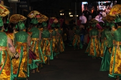 carnival-miguelturra-parade-2019