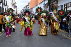 carnival-miguelturra-parade-2020