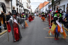 carnival-miguelturra-parade-2020