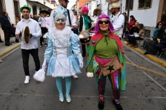 carnival-miguelturra-parade-2020